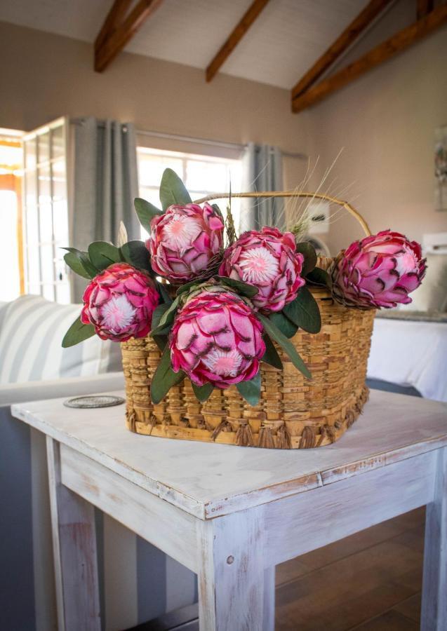 Modern Farm Apartment Lichtenburg Bagian luar foto